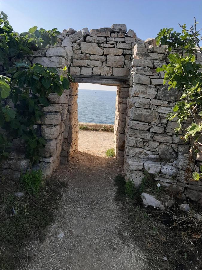 Bed and Breakfast Agorà Bisceglie Esterno foto